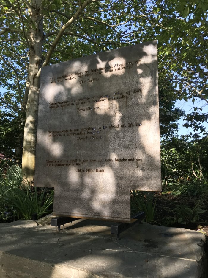 Photo of the art